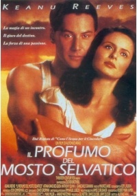 Foto Il Profumo del Mosto Selvatico Film, Serial, Recensione, Cinema